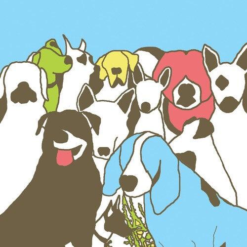 The Format- Dog Problems - VINYL