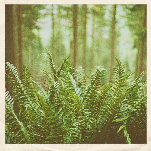 mtbrd- Just Visiting - VINYL