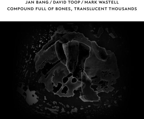 Bang, Jan / Toop, David / Wastell, Mark: Compound Full of Bones Translucent Thousands \ CD