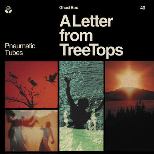 Pneumatic Tubes: Letter From Treetops \ LP