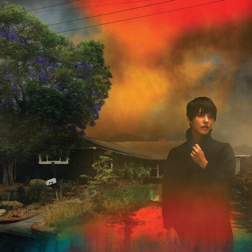 Sharon Van Etten: We've Been Going About This All Wrong - VINYL