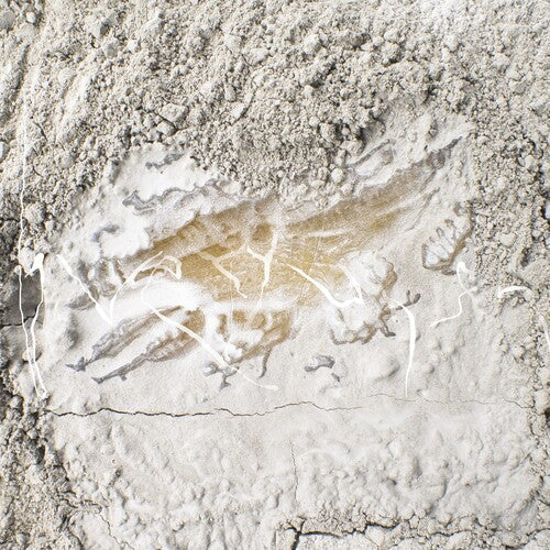 Jonathan Kawchuk: Everywhen \ CD
