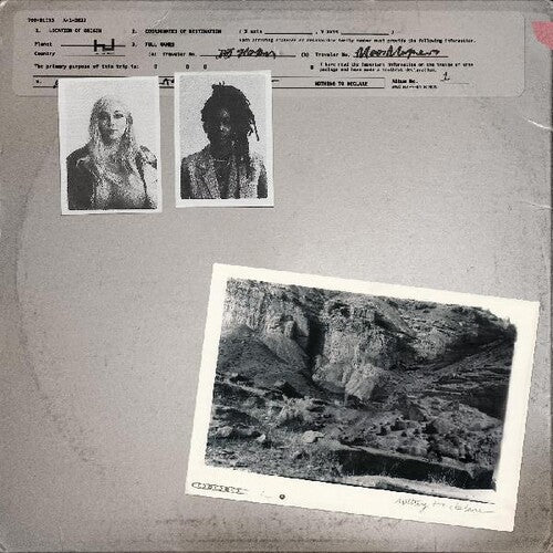 700 Bliss: Nothing To Declare \ LP
