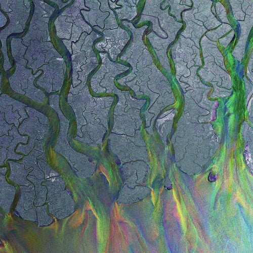 Alt-J: Awesome Wave - VINYL