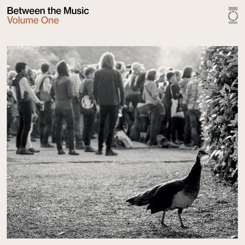 Various Artists- End Of The Road Presents: Between The Music / Var - VINYL