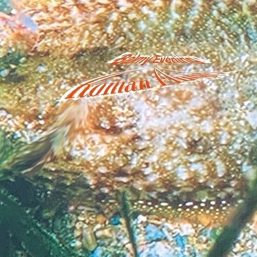 Roman Flugel: Balmy Evening \ LP