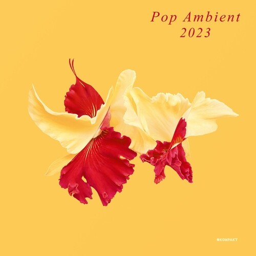 Various Artists: Pop Ambient 2023 \ LP