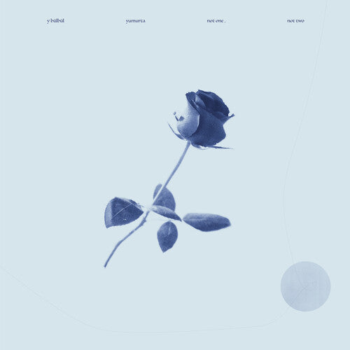 Y Bulbul / Yumurta: Not One, Not Two \ LP