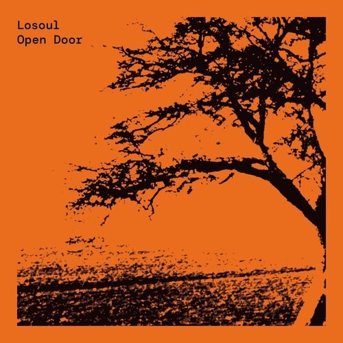Losoul: Open Door \ LP