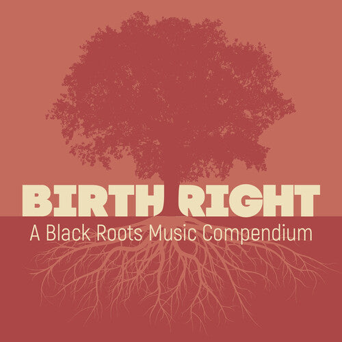 Various Artists: Birthright: A Black Roots Music Compendium (Various Artists) \ CD