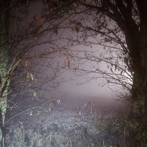 Earth Trax: Closer Now \ CD