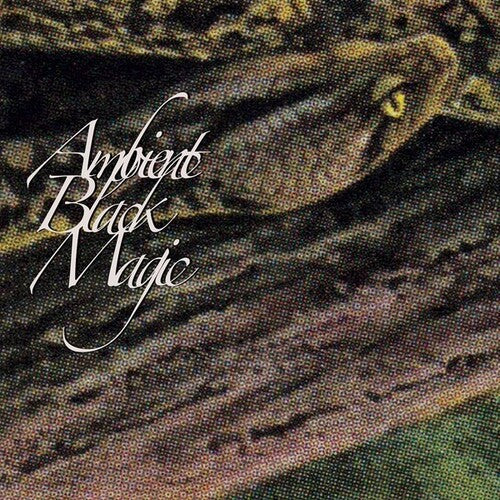 Rainforest Spiritual Enslavement: Ambient Black Magic \ LP