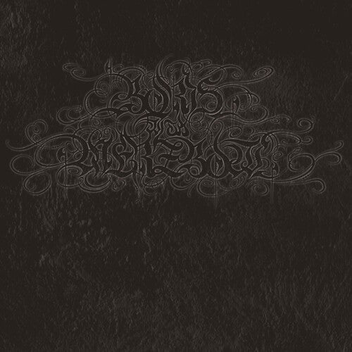 Boris with Merzbow: 4092001 - VINYL
