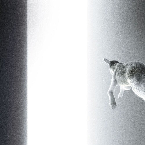 Panoram: Keep Looking Where The Light Comes From \ LP
