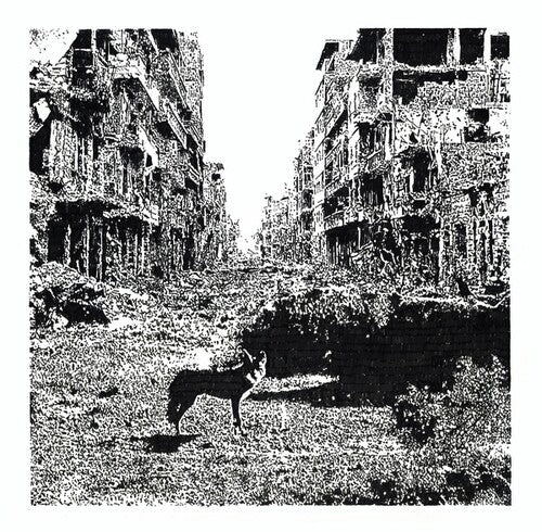 Vox Low: Keep On Falling \ LP