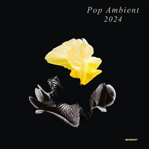 Various Artists: Pop Ambient 2024 \ CD