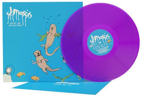 J Mascis (Dinosaur Jr.)- What Do We Do Now - VINYL
