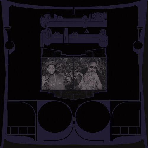 Shabazz Palaces: Exotic Birds of Prey \ CD