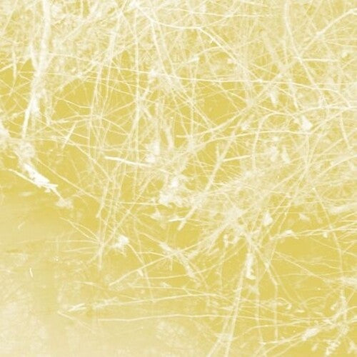 Celer: Cursory Asperses \ CD