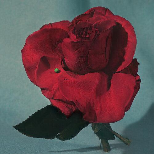 METZ- Up on Gravity Hill (Loser Edition) - VINYL
