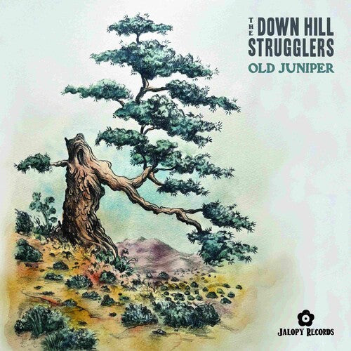 The Down Hill Strugglers: Old Juniper \ LP