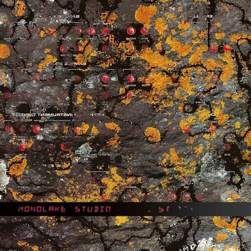 Monolake: Studio \ LP