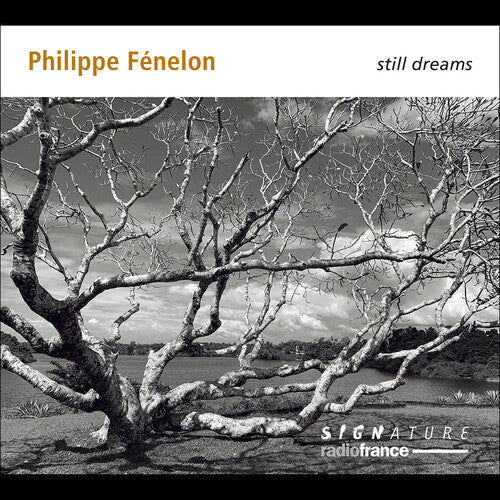 Gilles Ranticelli: Fenelon: Still Dreams \ CD