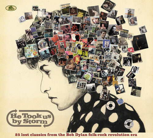 Various Artists: He Took Us By Storm: 25 Lost Classics From Bob Dylan Folk-Rock / Var \ CD