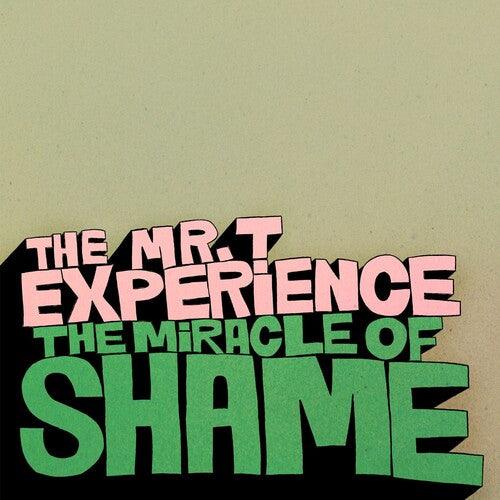 Mr T Experience- Miracle Of Shame - VINYL