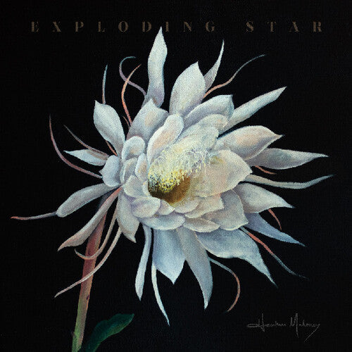 Heather Maloney- Exploding Star - VINYL