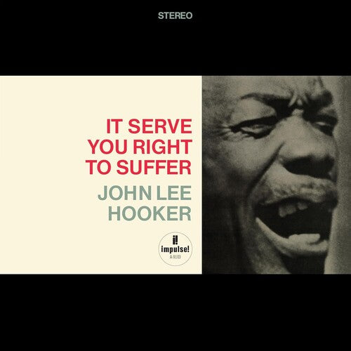 John Lee Hooker- It Serve You Right To Suffer (Verve Acoustic Sounds Series) - VINYL