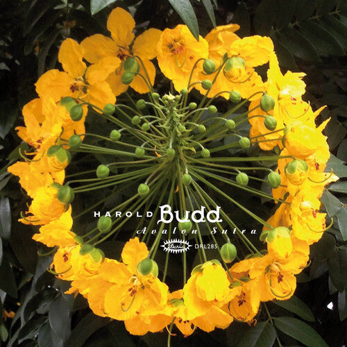 Harold Budd- Avalon Sutra - VINYL