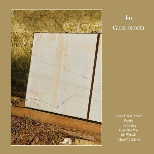 Carlos Ferreira: Flux \ LP