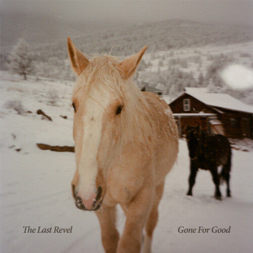 Last Revel: Gone For Good \ CD