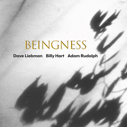 Dave Liebman: Beingness - CD