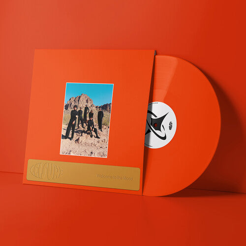 Leisure- Welcome to the Mood - VINYL
