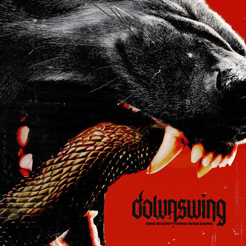 Downswing- And Everything Was Dark - VINYL