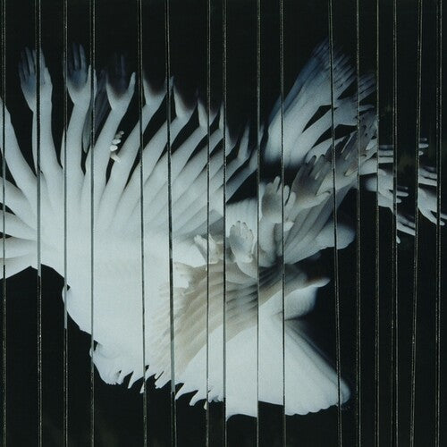 Scaler- Endlessly - VINYL