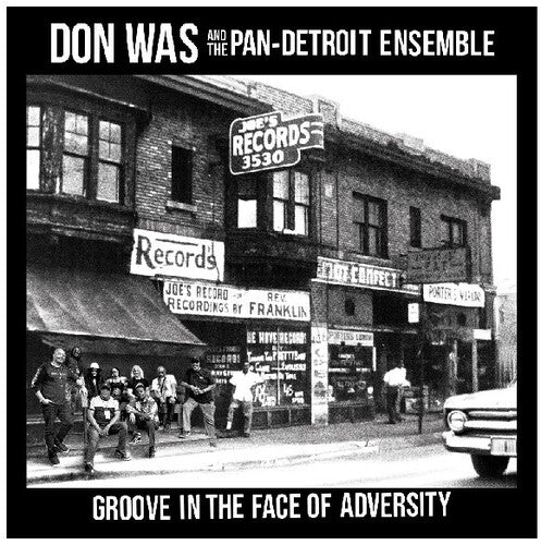 Don Was- Groove In The Face Of Adversity - VINYL