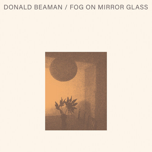 Donald Beaman- Fog On Mirror Glass - VINYL