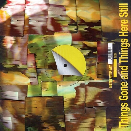 Mister Water Wet- Things Gone and Things Here Still - VINYL