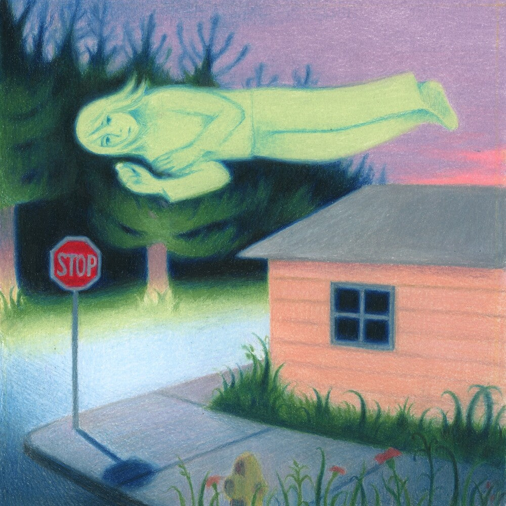 Fanclubwallet- Living While Dying - VINYL