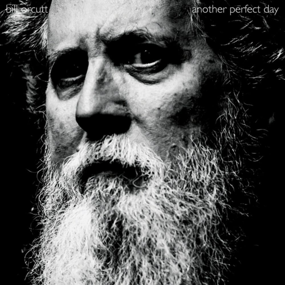 Bill Orcutt- Another Perfect Day - VINYL