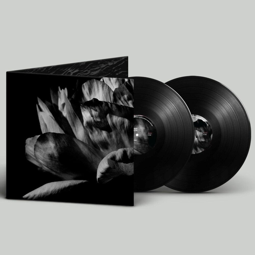 Louise Roam- La Ou Passe La Nuit (Gate) - VINYL