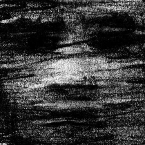 Born Erased: Birds Drink My Blood \ CD