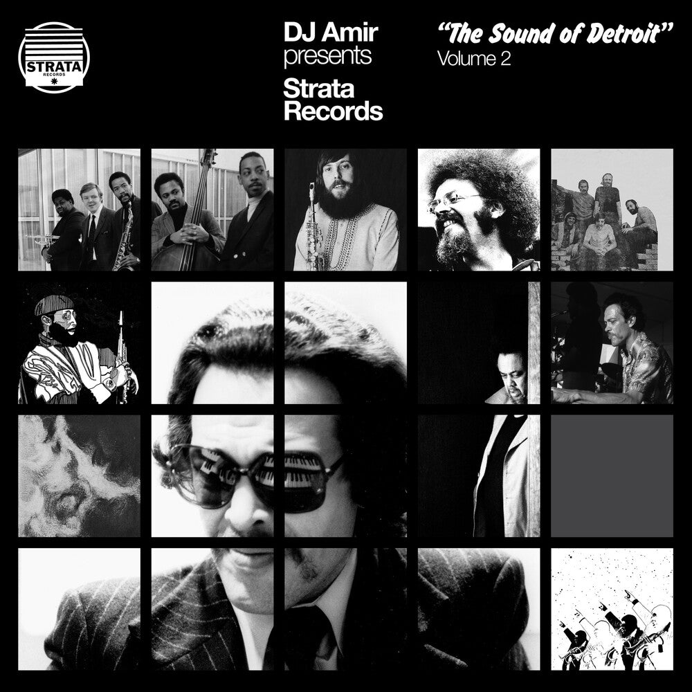 Dj Amir- Dj Amir Presents Strata Records: Sound Of Detroit - VINYL