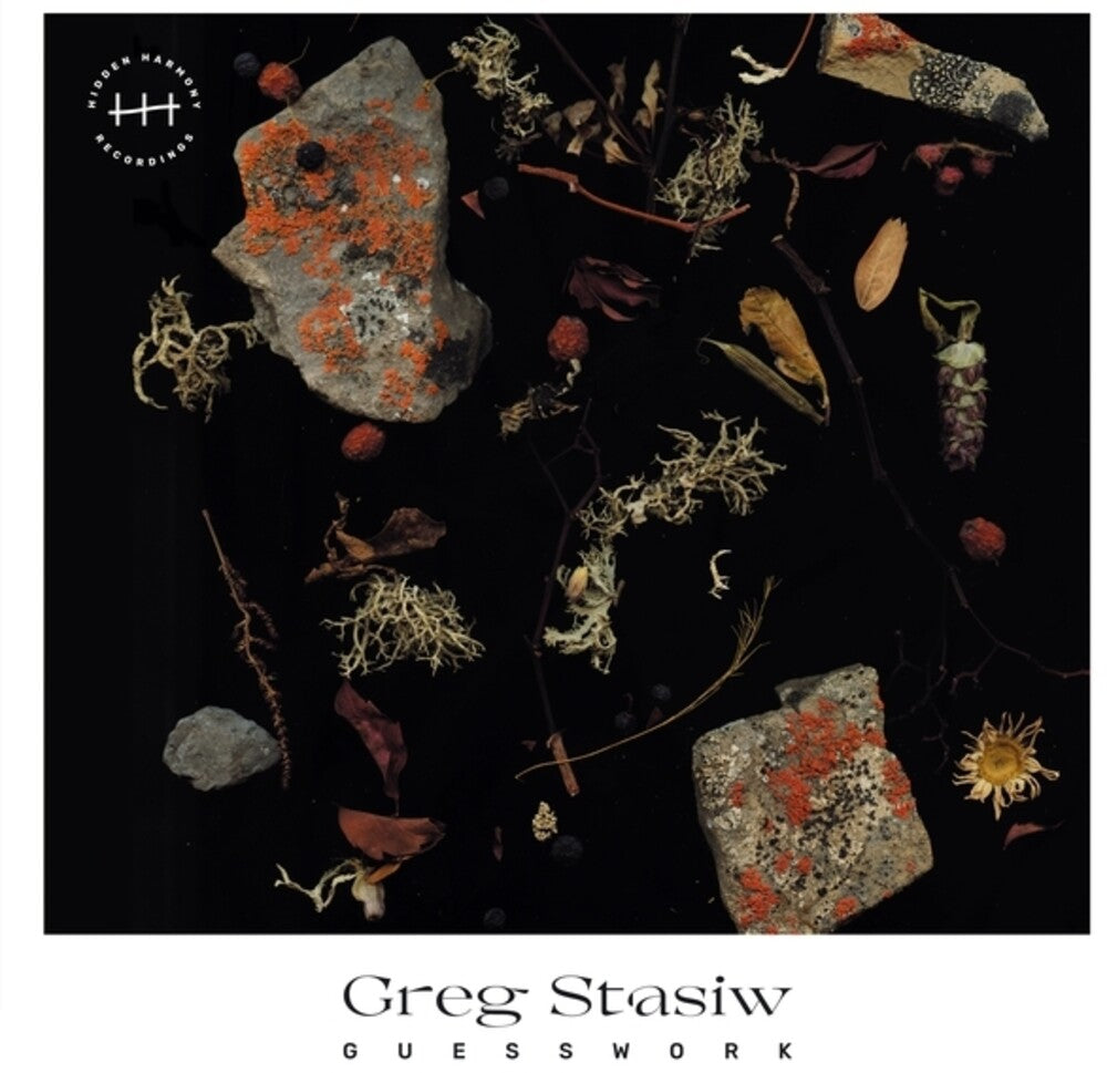 Greg Stasiw- Guesswork - VINYL