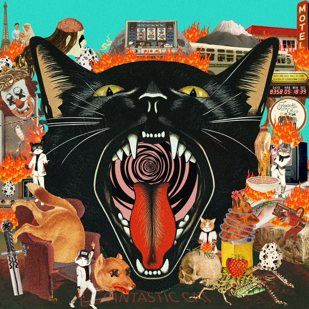 Fantastic Cat- Cat Out of Hell - VINYL