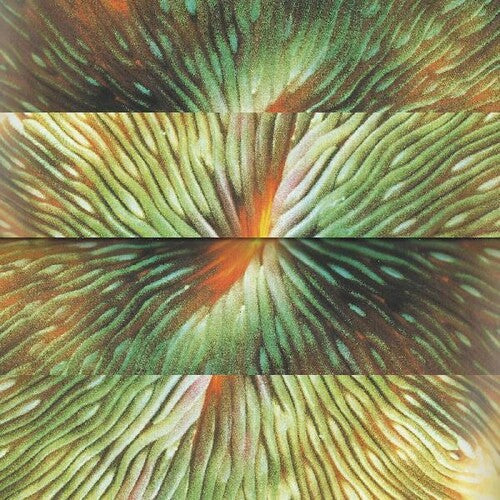 Active Surplus: Mirroring \ LP