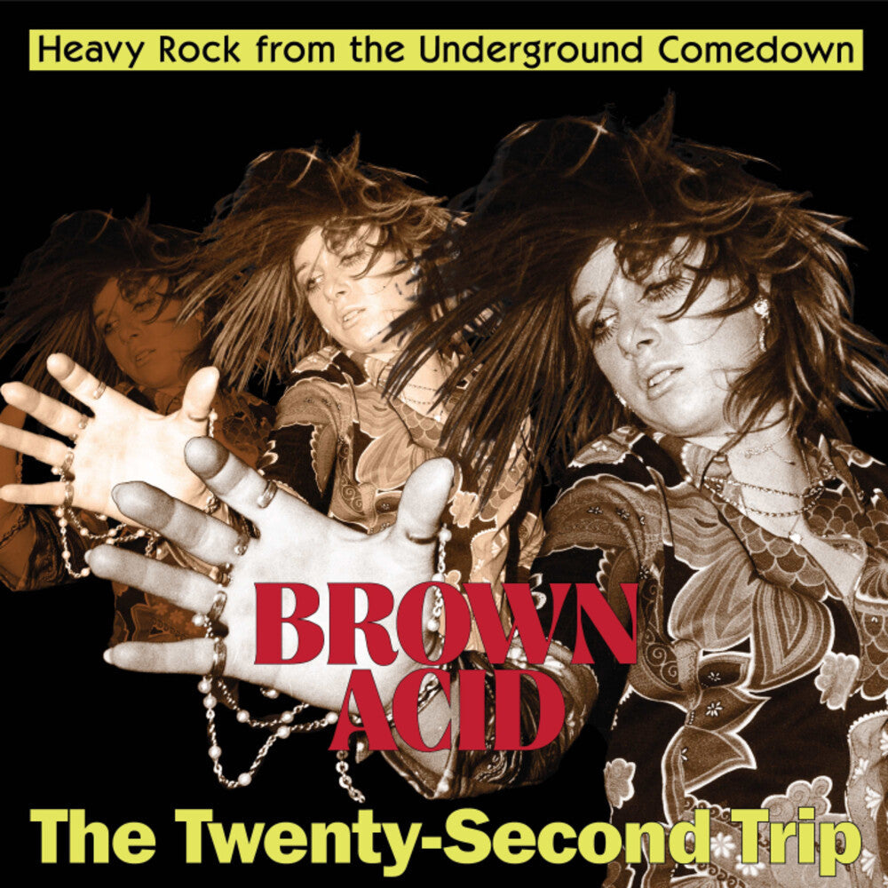 Brown Acid - Twenty-Second Trip / Various- Brown Acid - The Twenty-Second Trip (Various Artists) - VINYL